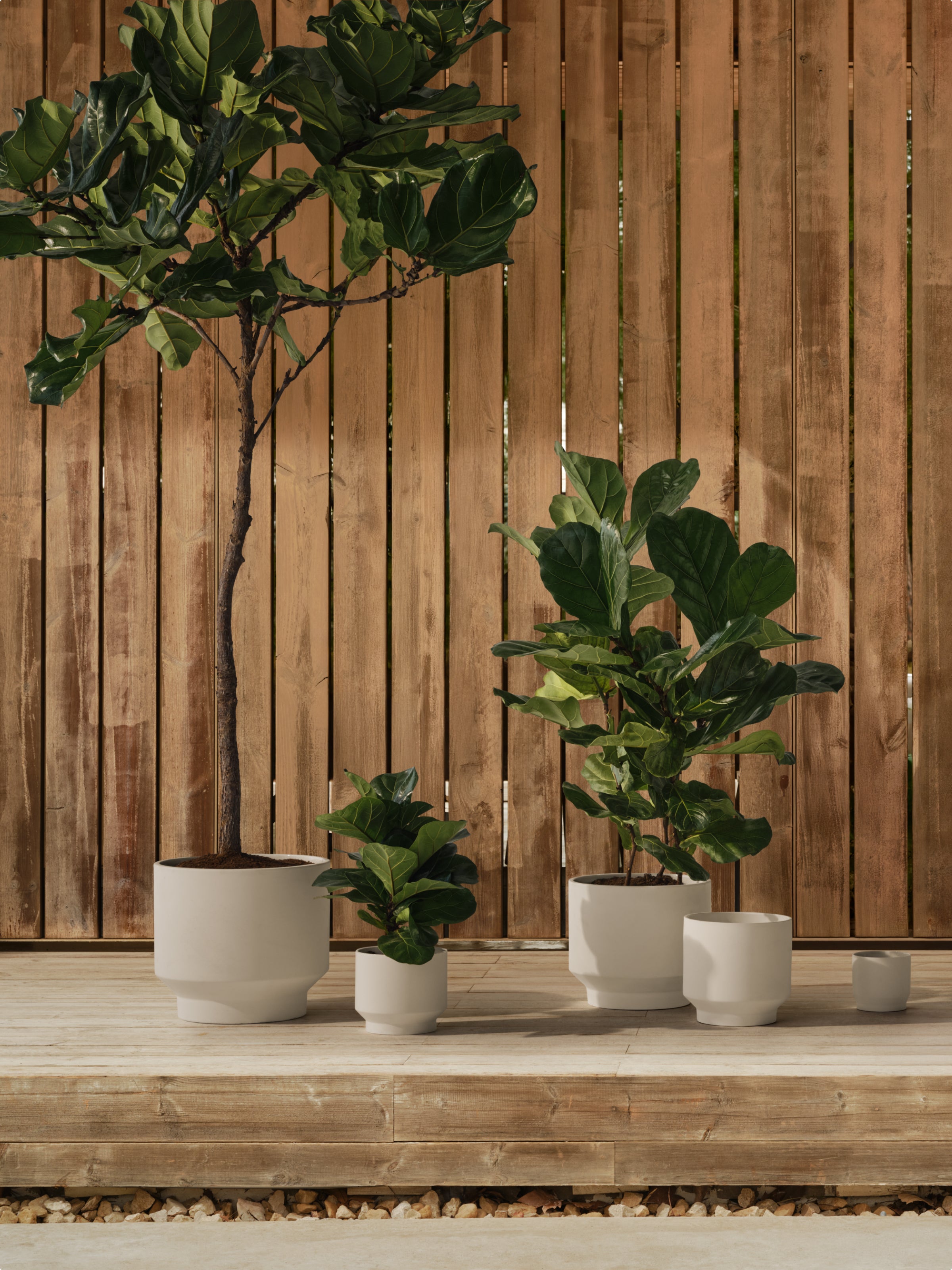 Minimal Ceramic Planter